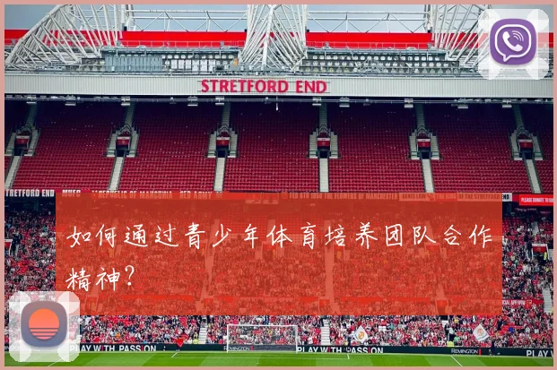 如何通过青少年体育培养团队合作精神?