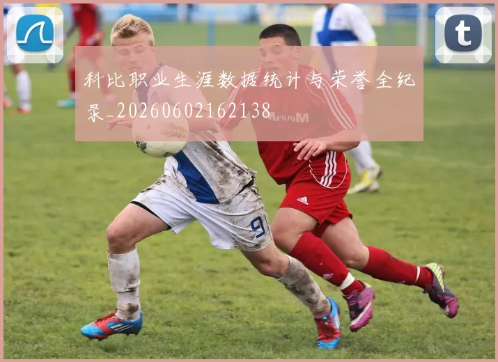 科比职业生涯数据统计与荣誉全纪录_20260602162138