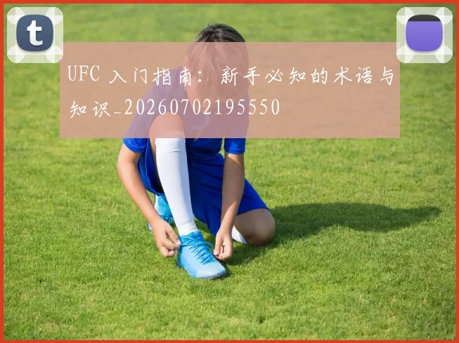 UFC 入门指南:新手必知的术语与知识_20260702195550